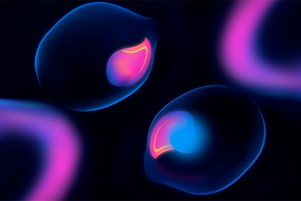 ASUS/华硕a豆14增强版 I421F 原厂Win10系统 工厂文件 带ASUS Recovery恢复