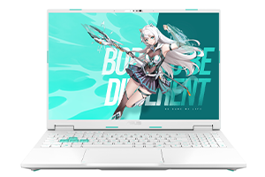 ASUS/华硕天选6Pro 锐龙版 FA608P 原厂Win11 24H2 家庭版系统 工厂文件 带ASUS Recovery恢复