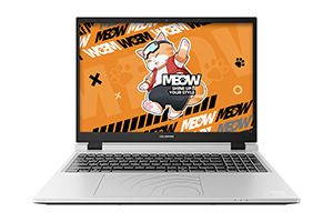 Colorful/七彩虹 MEOW 橘宝R16 A5X1 原厂Win11 24H2家庭中文版系统 带F9 Colorful一键恢复功能