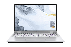 Colorful/七彩虹 将星 X16 Pro 2025 原厂Win11 24H2家庭中文版系统 带F9 Colorful一键恢复功能