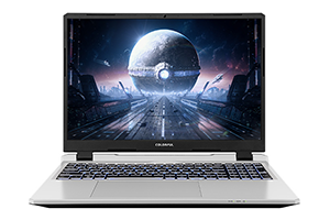 Colorful/七彩虹隐星P15 I5X1 原厂Win11 24H2家庭中文版系统 带F9 Colorful一键恢复功能