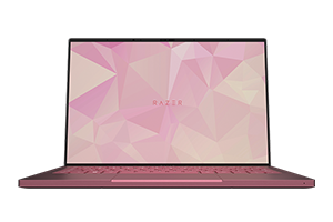 Razer 雷蛇 Book [Rz09-0357] 原厂Win11 21H2系统恢复镜像