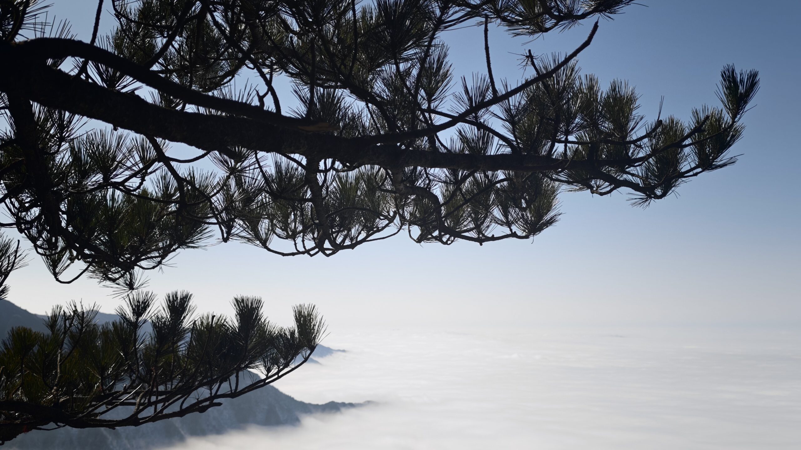 图片[8]-江西武功山之旅-动态空间社区-生活社区-宇程系统站