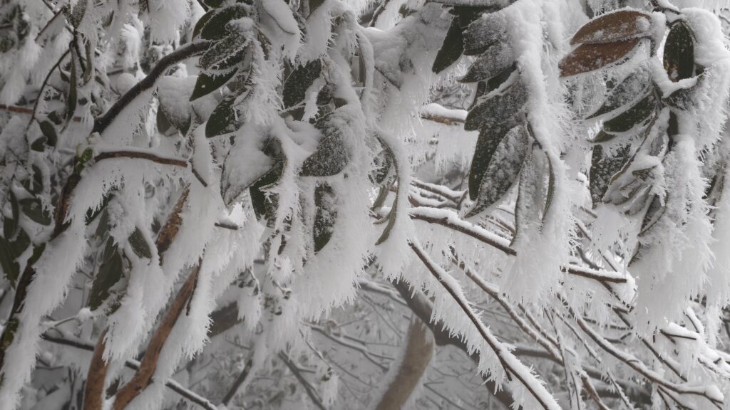 d798b95b8120260226152355