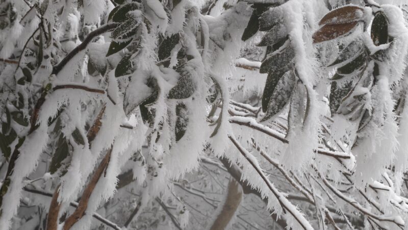 江西武功山之旅-宇程系统站
