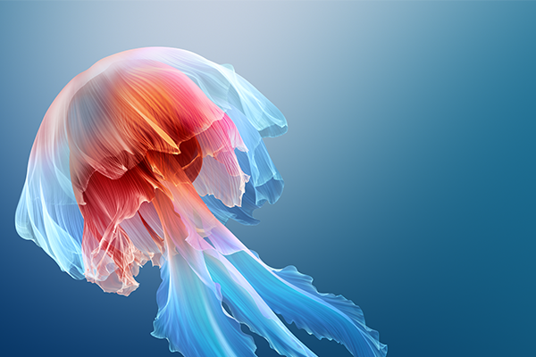 ASUS/华硕灵耀14 双屏 UX8406CA 原厂Win11 24H2 专业版系统 工厂文件 带ASUS Recovery恢复-宇程系统站