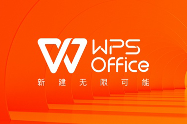 WPS Office Pro 2025 专业增强版 永久激活版 支持PDF、OFD等文档格式，包括VBA组件！-宇程系统站
